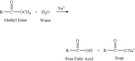 Us B Process For Producing Methyl Esters Google Patents