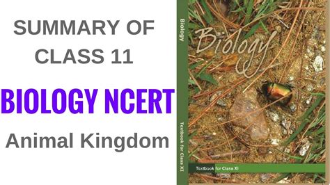 Summary Of Class 11 Biology Ncert Animal Kingdom Youtube