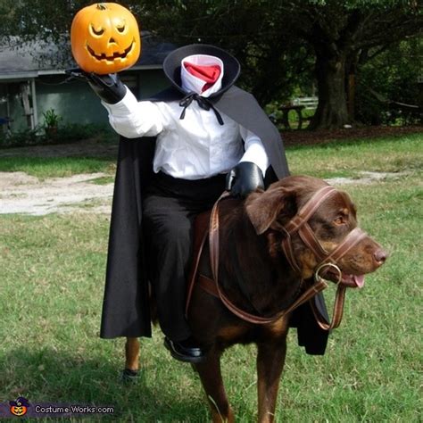 Headless Horseman's Horse Dog Costume