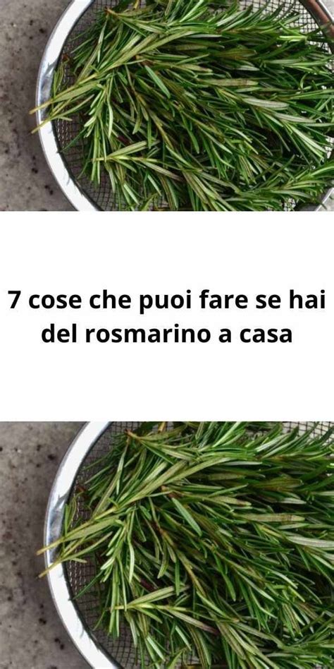 7 cose che puoi fare se hai del rosmarino a casa Cura Saúde Medicina