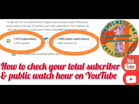 How To Check Total Subscriber And Public Watch Hours On Youtube Vlog