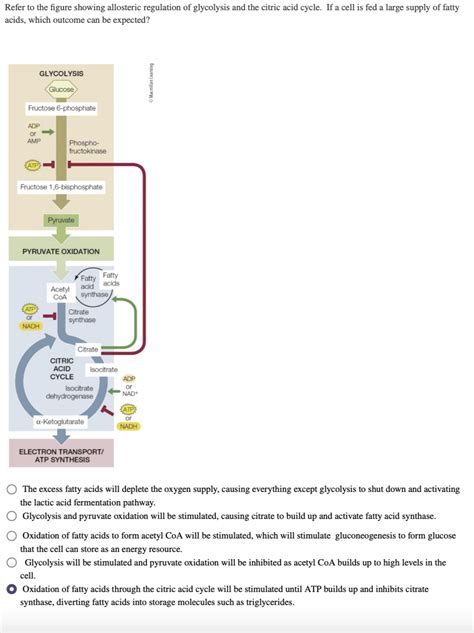 Solved Refer To The Figure Showing Allosteric Regulation Of Glycolysis And The Citric Acid