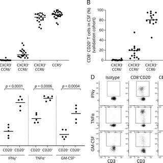 Phenotypic Characteristics Of Cd Cd T Cells In Patients With Ppms