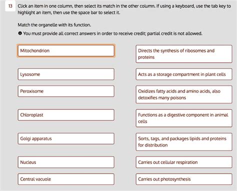 SOLVED 13 Click An Item In One Column Then Select Its Match In The