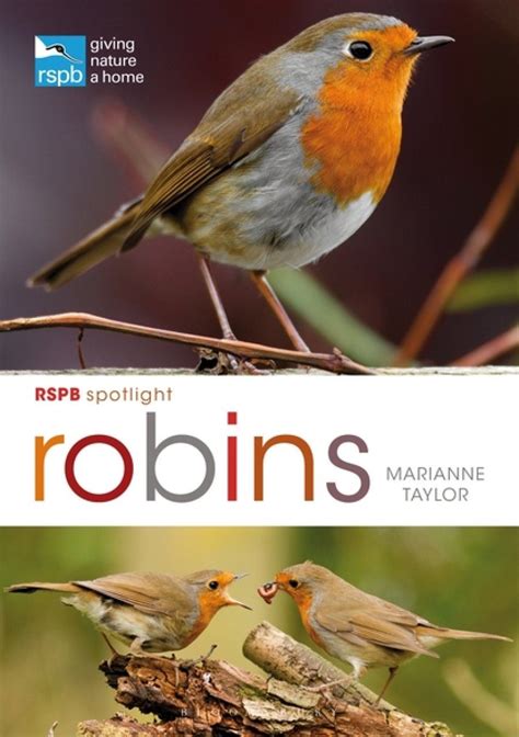 Rspb Spotlight Robins Nhbs Good Reads