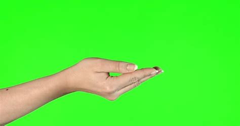 Gacha Hand Green Screen