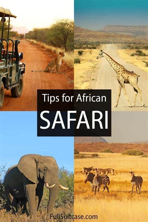 African Safari Tips Things To Know Before Going On Safari In Africa