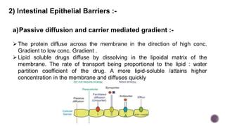 Barriers To Protein And Peptide Delivery Pptx