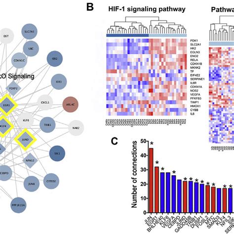 Transcription Factor Analysis A Overlap Between De Transcription