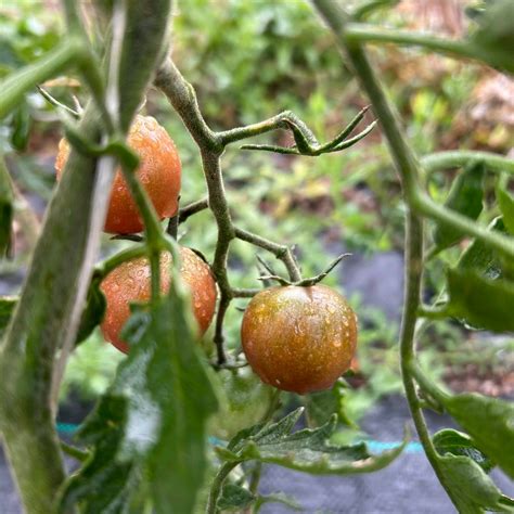 Getting to Know Briialexia, On a Deeper Level 1