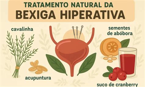 Qual O Melhor Chá Para Bexiga Hiperativa - Tratamento Natural da Bexiga Hiperativa – Guia Completo 2026