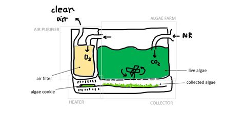 In Algae Farm Air Purifier Nutricious Snack Machine