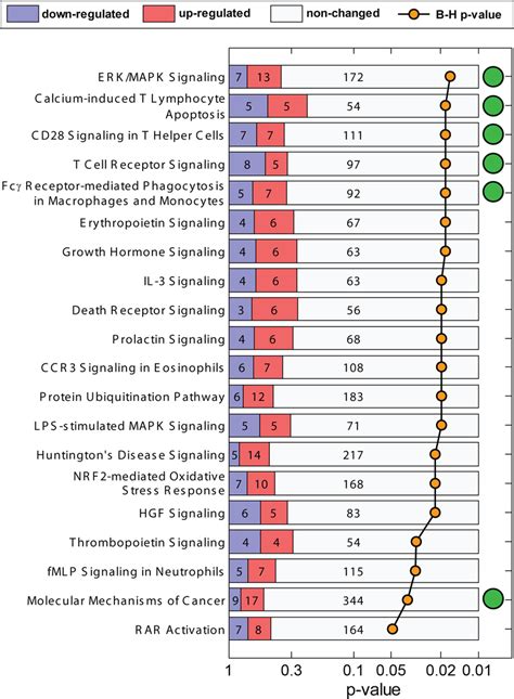 Significantly enriched canonical pathways from Ingenuity Pathway ... 