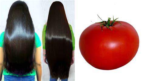 How To Grow Long Thicken Shiny Hair Fast With Tomato Worlds Best