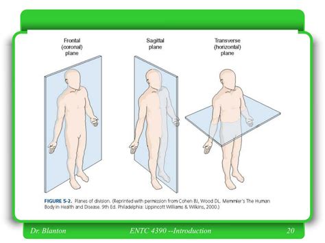 Ppt Medical Imaging Powerpoint Presentation Free Download Id 194582