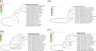 羊栖菜提取物对主要珊瑚病原体的分子对接和抗菌活性 World Journal of Microbiology and