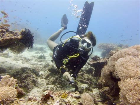 Planning on Diving Bohol? Read This Guide First!