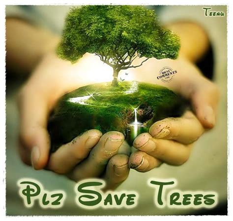 Quotes About Saving Trees. QuotesGram