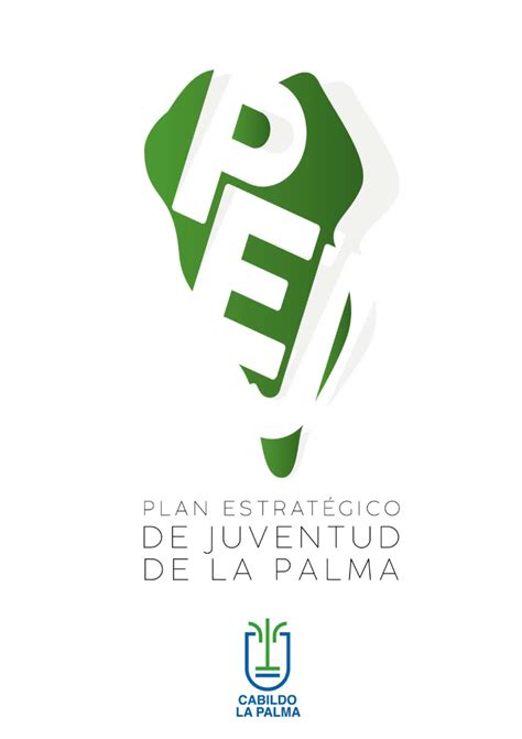 El Plan Estrat Gico De Juventud De La Palma Clave En El Presupuesto De