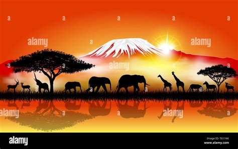 African Animal Sunset Silhouettes