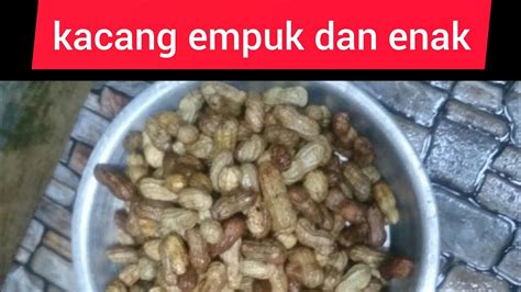 Cara Merebus Kacang Tanah Dari Sawah Enak How To Boil Peanuts Youtube