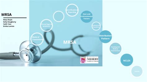 Mrsa By 207 Andreoni On Prezi