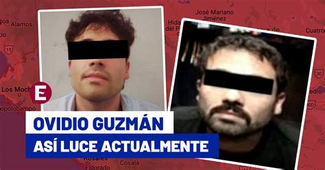 Fotos Ovidio Guzmán Así Luce El Hijo Del Chapo Guzmán Tras Su Captura