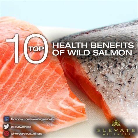 Top 10 Health Benefits Of Wild Salmon Healthy Eating Inspiration Salmon Health Benefits