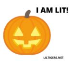 60 Best Jack-O-Lantern Quotes, Sayings & Captions - Lil Tigers