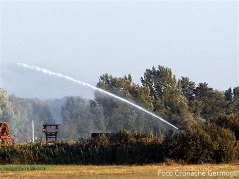 Toscana Quasi 200 Milioni I Contributi Erogati Per L Agricoltura