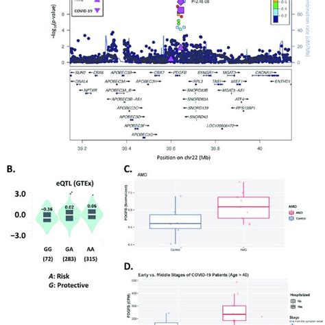 A Regional Association Plot For The Genome Wide Significant