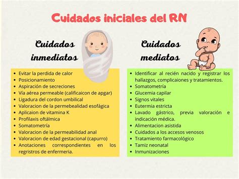 Cuidados Iniciales Del Rn Erica Af Udocz