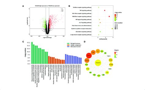 Analysis Of Differently Expressed Genes A Volcano Plot Of Tnfaip