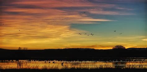 Bosque del Apache Sunrise Photograph by Bruce Moore - Fine Art America