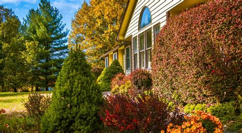 Fall Lawn Fertilization Tips