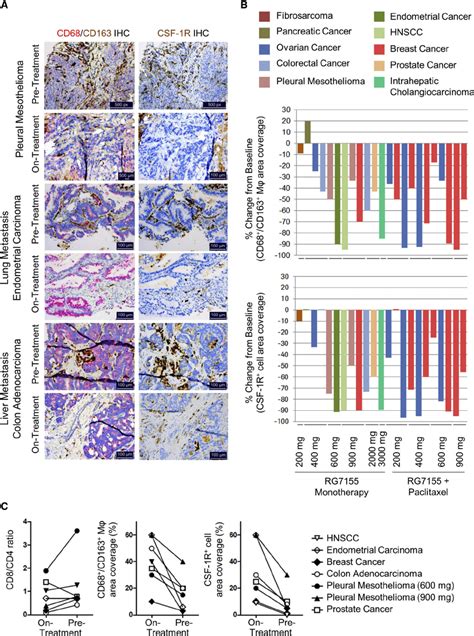 Rg7155 Decreases Csf 1r Cd163 Tam In Patients With Various Types Of Download Scientific