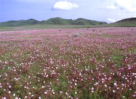 Kitulo National Park