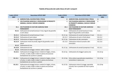 PDF Tabella Di Raccordo Dei Codici Ateco Di Tutti I Comparti