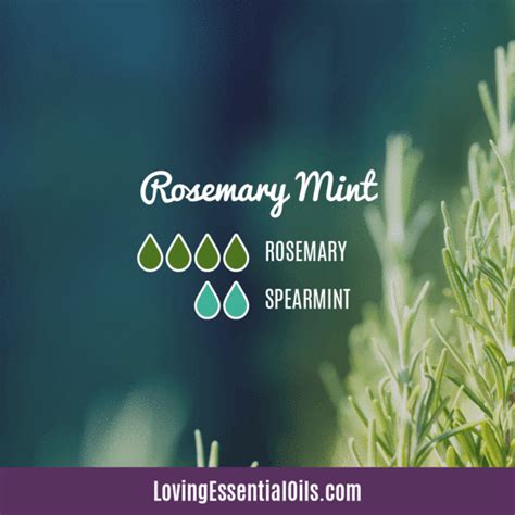 Rosemary essential oil diffuser blends – Artofit