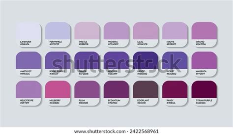 Purple Color Palette Purple Color Guide Stock Vector (Royalty Free ...