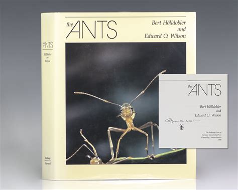 Journey To The Ants A Story Of Scientific Exploration Raptis Rare