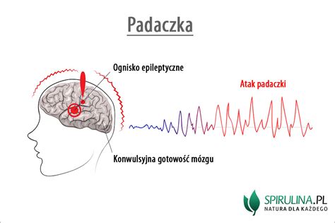 Padaczka Algi Spirulina I Chlorella