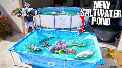 Saving FISH Living In ABANDONED SALTWATER POND! - Mindovermetal English