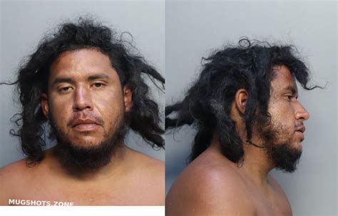 Castro Julio Cesar Miami Dade County Mugshots Zone