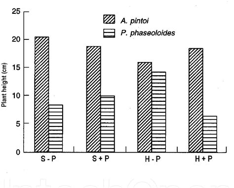 Figure 1 From Soil Management For The Establishment Of The Forage