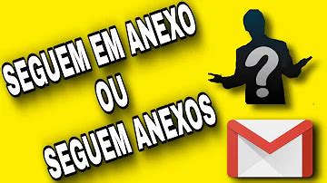 Seguem Em Anexo Está Correto - É correto dizer Segue em anexo?