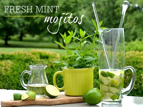 Mojito Wallpapers Images Photos Pictures Backgrounds