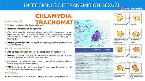 chlamydia trachomatis eugenio chumpitaz  udocz