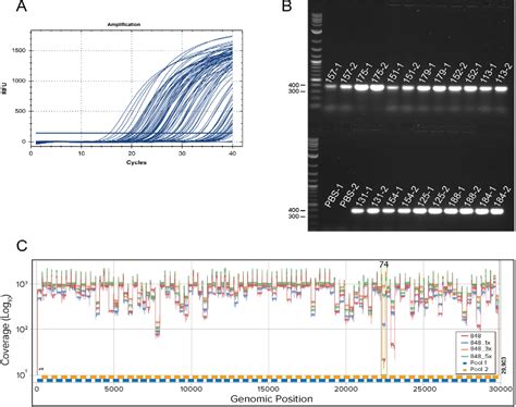 PDF High Throughput Nanopore Sequencing Of SARS CoV 2 Viral Genomes