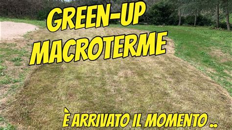 Green Up Macroterme Ripresa Vegetativa Paspalum Vaginatum YouTube